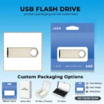 LingC USB flash drive FD1021 – custom logo and bulk wholesale
