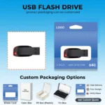 LingC USB flash drive FD1022 – custom logo and bulk wholesale